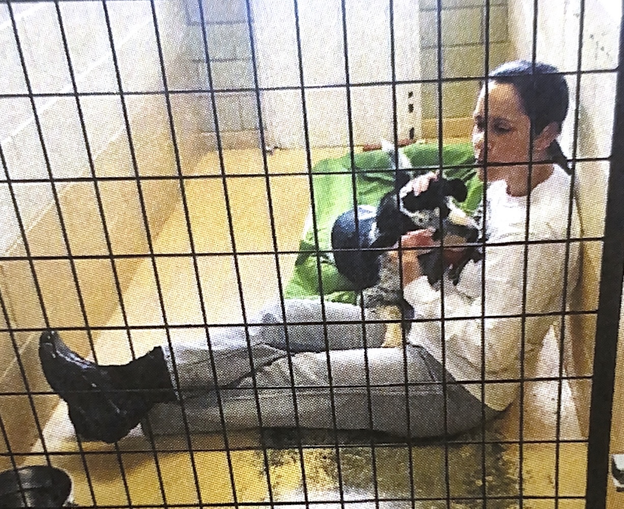 News Effingham Humane Society